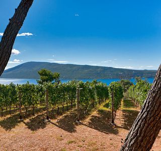 Savina Winery