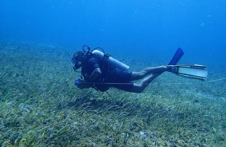 Chucho Underwater