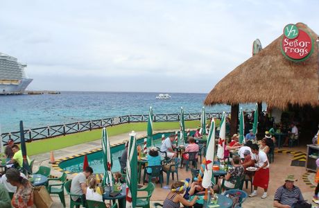 Senor Frogs Cozumel