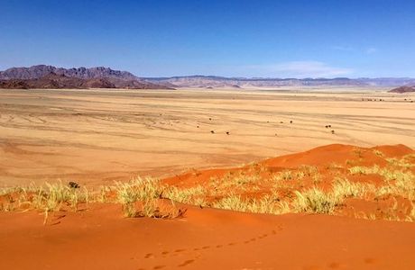 Elim Dunes