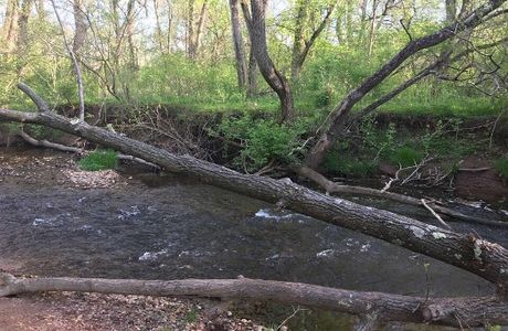 Ballenger Creek Linear Trail