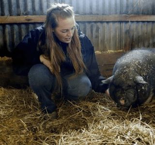 Erin's Farm