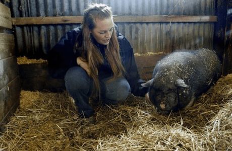 Erin's Farm
