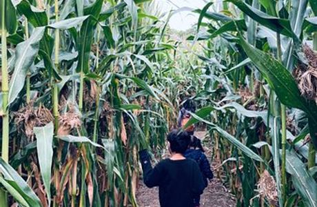 Crescent Farms