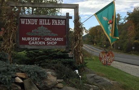 Windy Hill Farm