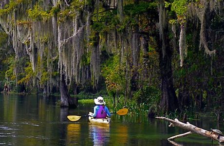 Lower Wekiva River State Preserve