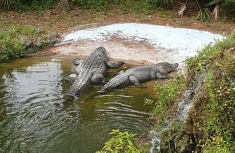 Calusa Nature Center and Planetarium