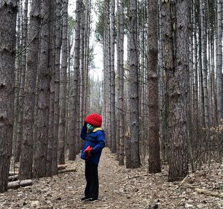 Lillian Anderson Arboretum