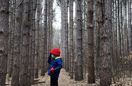 Lillian Anderson Arboretum