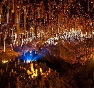 Le Verre en Cave