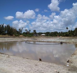 Mkama Ndume Ruins at Pujini village.