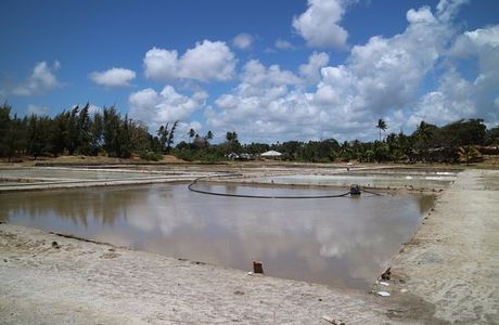 Mkama Ndume Ruins at Pujini village.