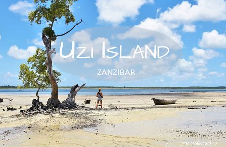 Uzi Island