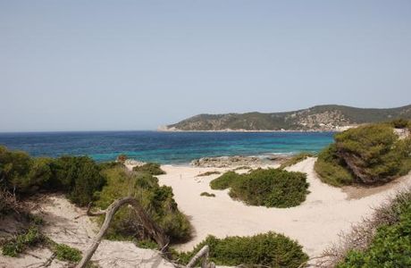 Playa de Ses Salines