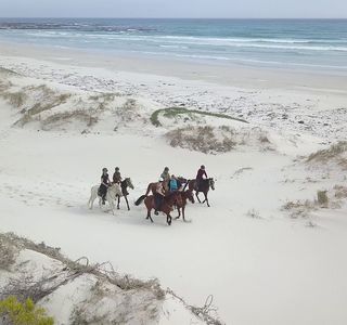 Gansbaai & Pearly Beach Horse Trails