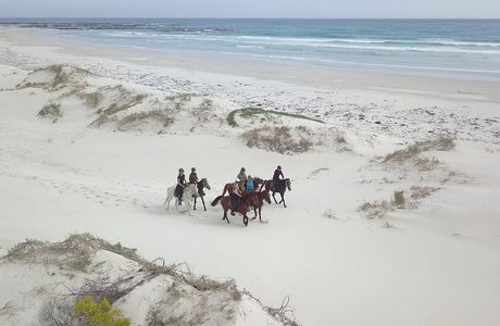 Gansbaai & Pearly Beach Horse Trails
