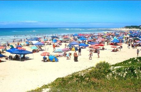 Dolphin Beach