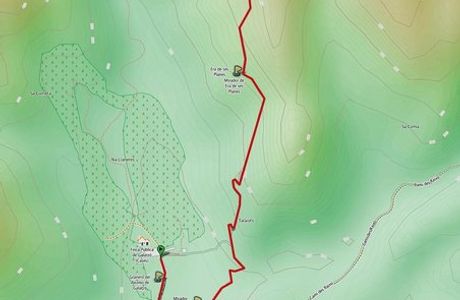 CR9 Es Galatzo - Ses Planes Trail