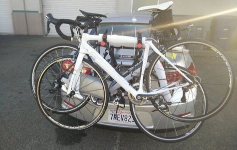 Black Sheep Bike Rental 1