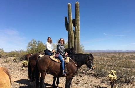 Cowtown Range