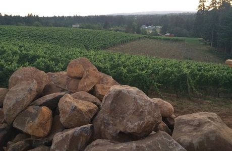 Christopher Bridge Wines