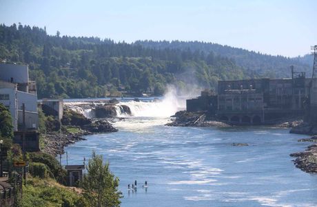 Willamette Falls