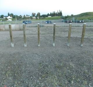 DogTown Dog Park