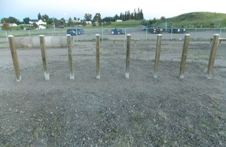 DogTown Dog Park