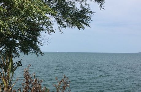 Cleveland Lakefront Nature Preserve
