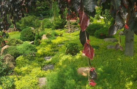 Schnormeier Gardens