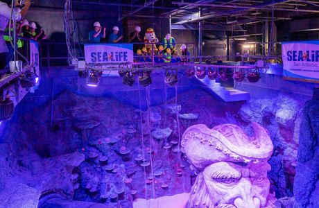 SEA LIFE San Antonio Aquarium