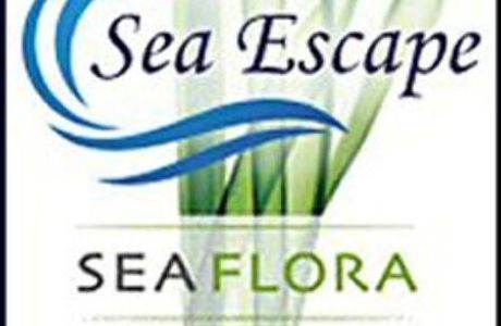 Sea Escape Spa