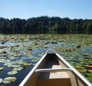 Deer Lake Boat Rentals