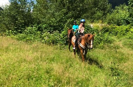 Mustang Riding Stables