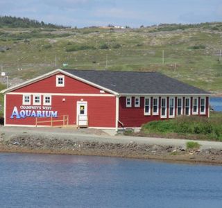 Champney's West Aquarium