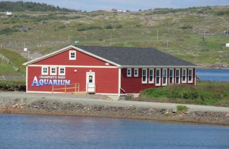 Champney's West Aquarium