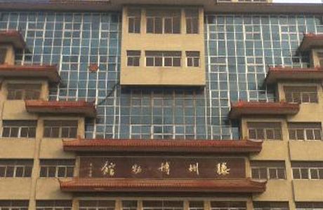 Tengzhou Museum