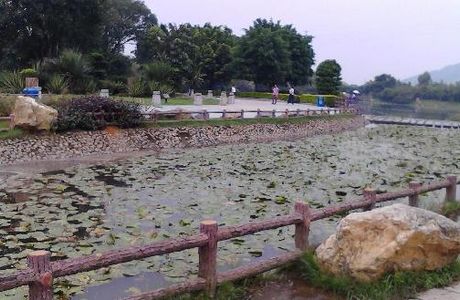 Phoenix Hill (Fenghuang Shan)