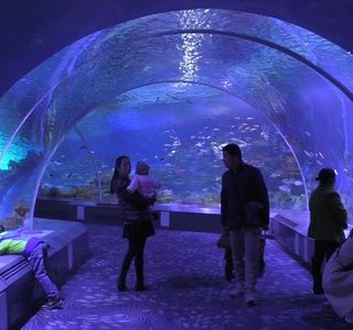 Rizhao Aquarium
