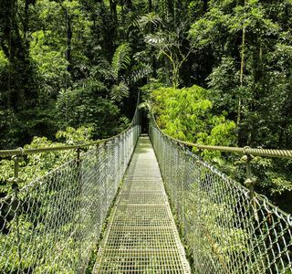 Arenal Hanging Bridges
