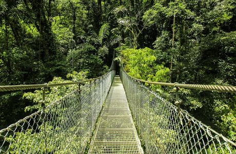 Arenal Hanging Bridges
