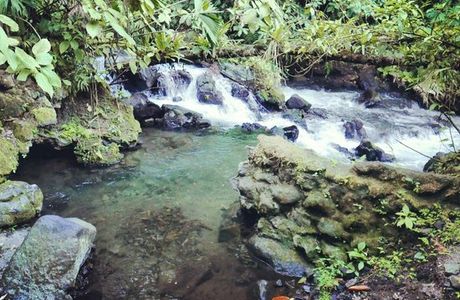 Rio Chollin