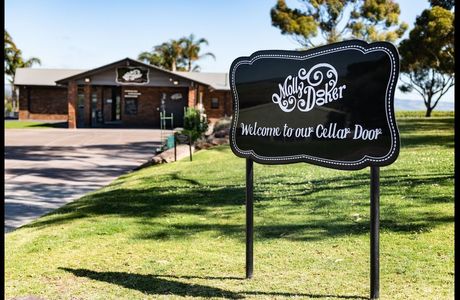 Mollydooker Wines