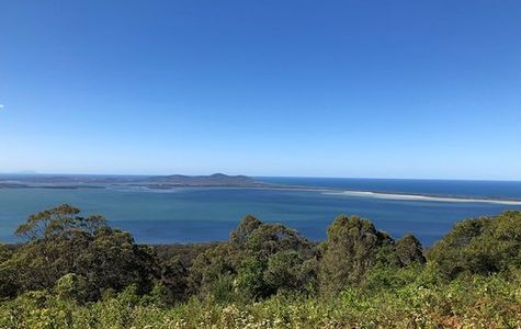Forster Lookout 1