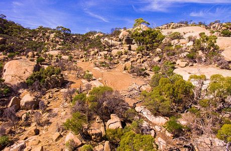 Mt Korong
