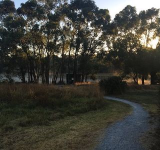 Bushy Park Wetlands
