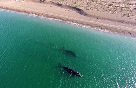 Playa El Doradillo
