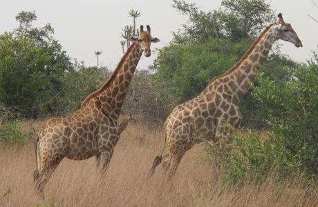 Quicama National Park