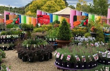 Mittagong Garden Centre
