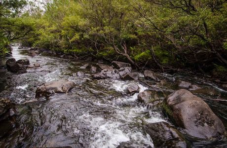 Barrington Tops National Park